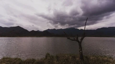 Clouds Moving Over Lake in Wetland Park Timelapse Stock Footage 326698560