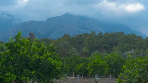 Clouds moving over mountain peak and green orchard Stock Footage 305282458