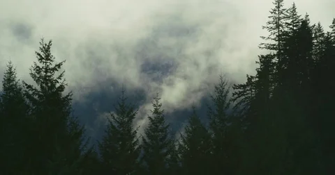 Clouds moving over the mountains and forest Stock Footage 75022626