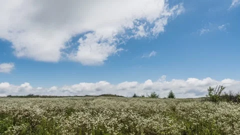 Clouds Moving Over Open Wilderness Timelapse Stock Footage 326699301