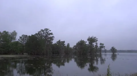 Clouds moving over overcast swamp Stock Footage 49469790