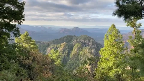 Clouds moving over Sedona through trees Stock Footage 188352370