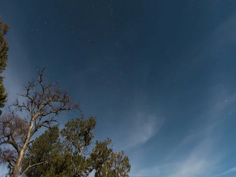 Clouds moving over tree at dusk Stock Footage 69455567