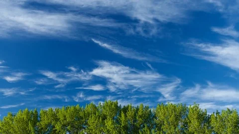 Clouds moving over treetops Stock Footage 78178075