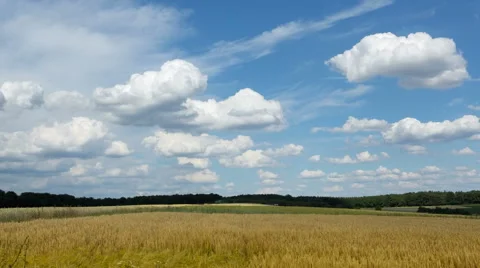 Clouds moving over wheat field in Germany Stock Footage 42677136