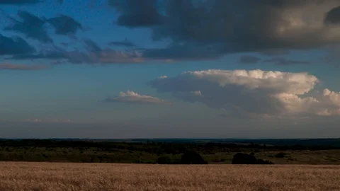 Clouds moving over yellow field Stock Footage 93543658
