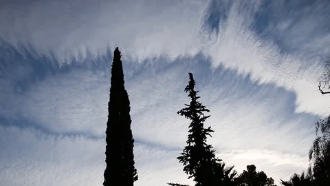 Clouds moving quickly part trees Stock Footage 110745895