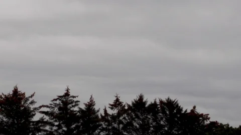 Clouds moving slowly in the sky time lapse Stock Footage 124794342