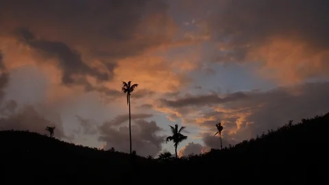 Clouds Moving at Sunset Behind Silhouetted Palm Trees with Rain Drops Stock Footage 102393754