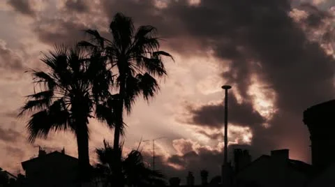 Clouds moving at sunset, palms and building in silhouette Vídeo Stock 19616572