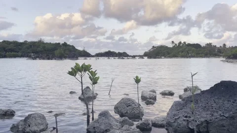 Clouds moving at sunset in a salt marsh on the island of Mauritius 스톡 동영상 275333830