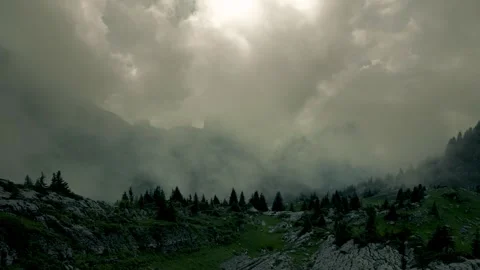 Clouds moving through a misty evergreen mountain forest Stock Footage 341327872
