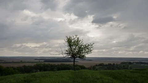 Clouds Moving Through The Sunset Sky Over Green Hills With Lonely Tree Video stock 84119796