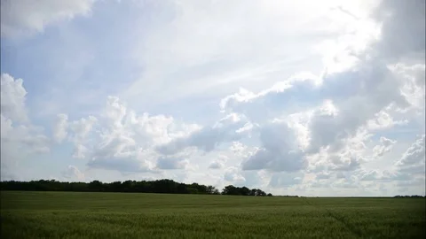 Clouds Moving Through The Sunset Sky Over Green Field Video stock 84120259