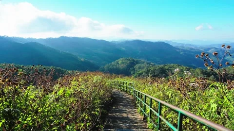 Clouds naturally moving through tropical mountain landscape Video stock 256022071