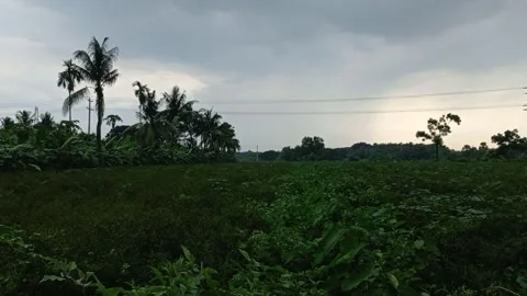 Clouds nature landscape Video stock 269878122