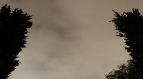 Clouds at night between trees 動画素材 2284674