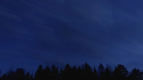 Clouds at night in the sky in the forest. Timelapse. Stock Footage 165616620