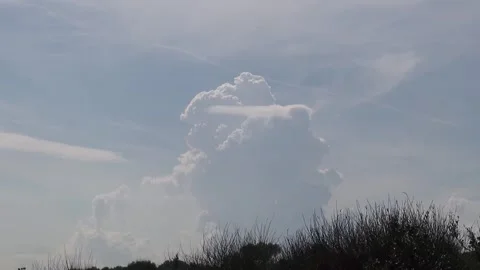Clouds nimbus sky sunlight weather storm countryside nature plants noon tall Stock Footage 333581008