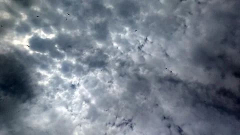 Clouds no action static scene, in sky, with clouds, from a aerial perspective Video stock 343628655