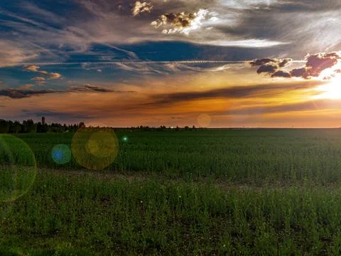 Clouds in the orange rays of the sunset over a green farm field. Stock Photos