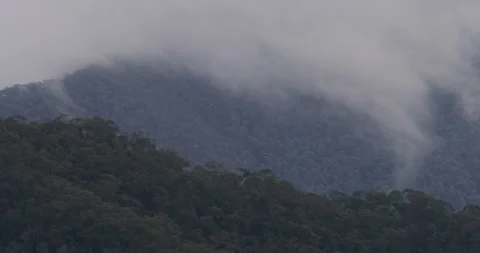 Clouds Over The Australian Alps Forest, 8K Stock-Footage 332748347