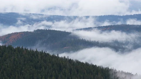 Clouds over the autumn forest 8K Stock Footage 151702352
