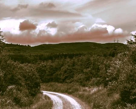 Clouds over a Beautiful Landscape Green Vegetation Foto stock
