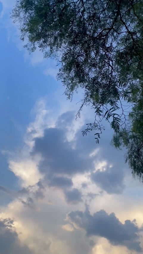 Clouds over the blue sky Stock-Footage 334626029