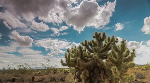Clouds over Cholla Time Lapse Stock Footage 62404974