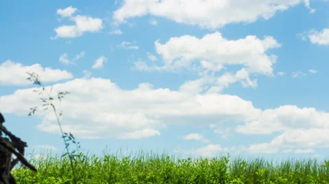Clouds Over Corn Field Timelapse Vidéo 39502433