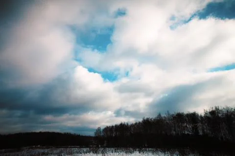 Clouds over dark trees Photos