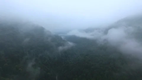 Clouds over a dense mysterious mountain forest. Stock Footage 106285273