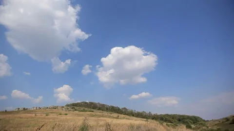 Clouds over a field and a grove 動画素材 77621821