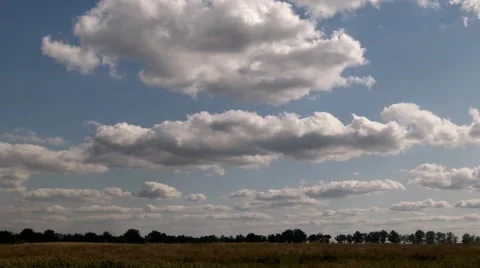 Clouds over field and trees on a Sunny day Stock Footage 50374307