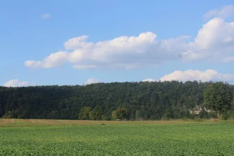 Clouds over a field and trees Stock Photos