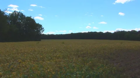 Clouds Over Field Stock Footage 40684007
