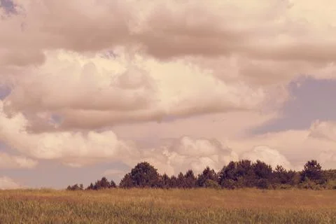Clouds over the field Foto stock gratuite