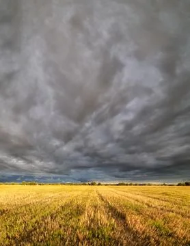Clouds over the field. Stock Photos