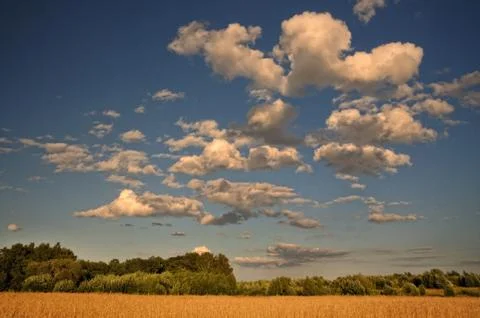 Clouds over the field. Stock Photos