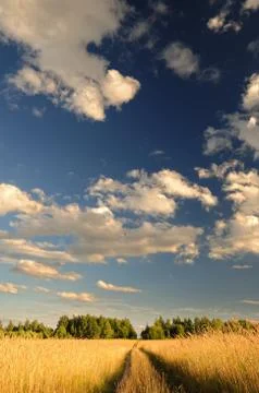 Clouds over the field. Foto stock