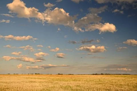 Clouds over the field. Stock Photos
