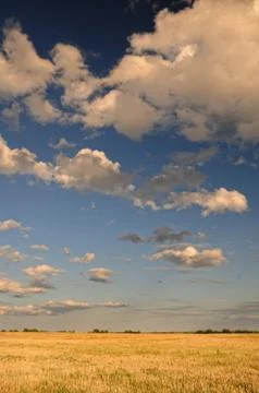 Clouds over the field. Stock Photos