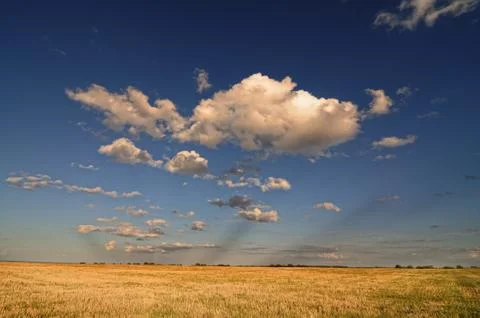 Clouds over the field. Stock Photos
