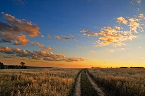 Clouds over the field. Stock Photos