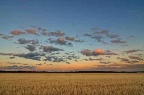 Clouds over the field. Stock Photos