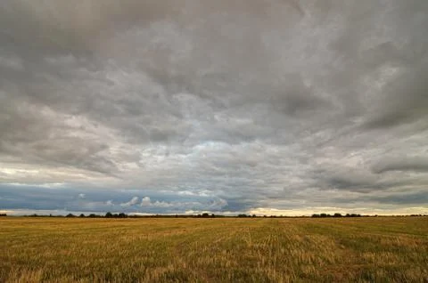 Clouds over the field. Stock Photos