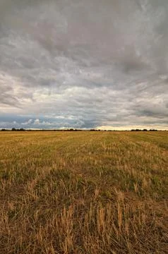 Clouds over the field. Stock Photos