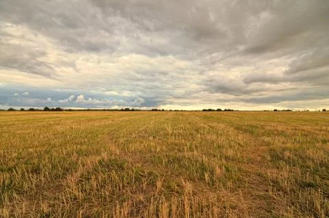Clouds over the field. Stock Photos