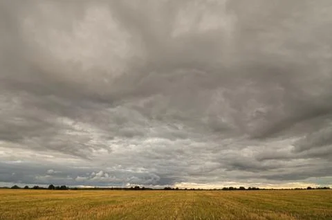 Clouds over the field. Stock Photos